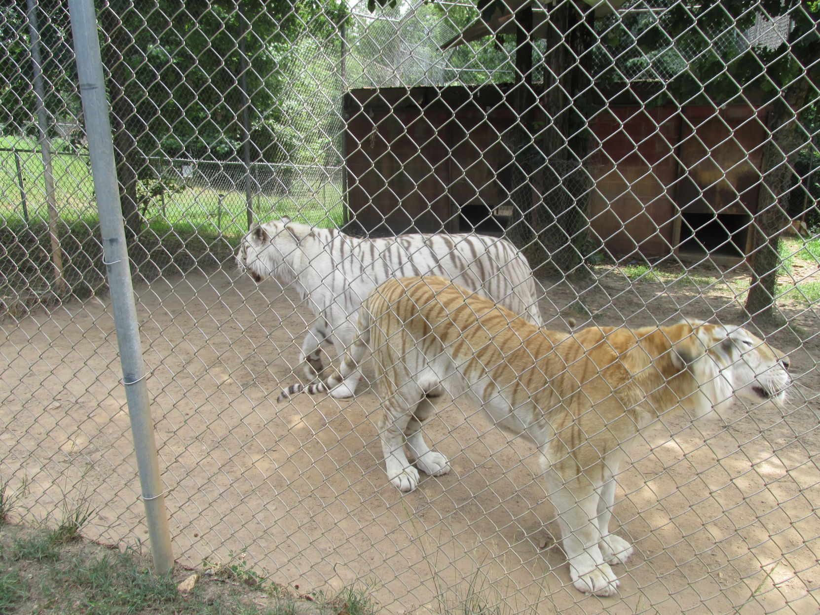 Zootastic (37).JPG